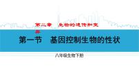 初中生物人教版 (新课标)八年级下册第一节 基因控制生物的性状一等奖课件ppt