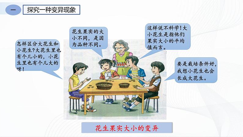 7.2.5 生物的变异第5页