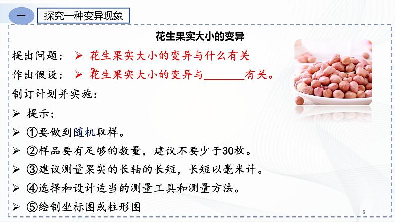 7.2.5 生物的变异第6页