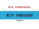 人教版八下生物7.3.3《生物进化的原因》【课件】+同步练习+素材