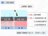 人教版八下生物8.1.2《免疫与计划免疫》课件+同步练习+素材