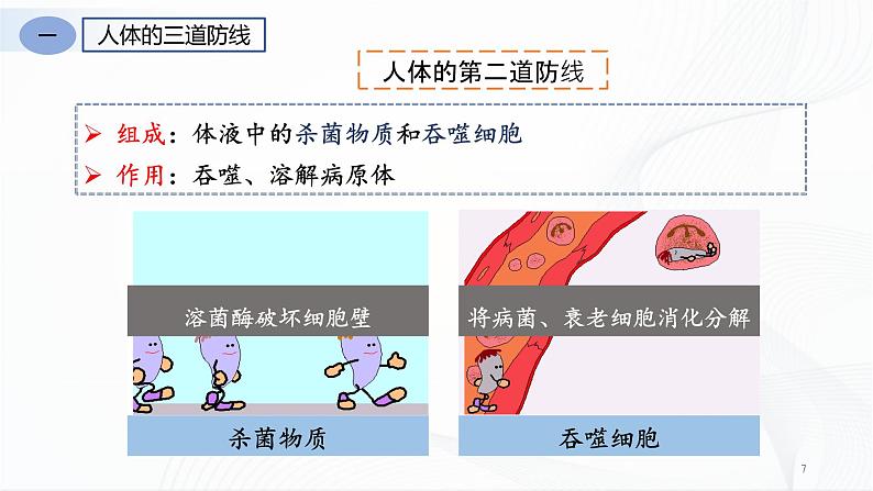 8.1.2 免疫与计划免疫第7页