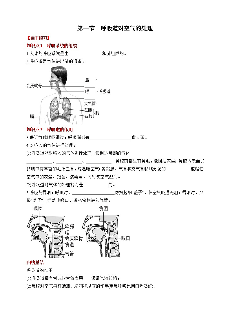 人教版生物七年级下册同步练习4.3.1　呼吸道对空气的处理第1页