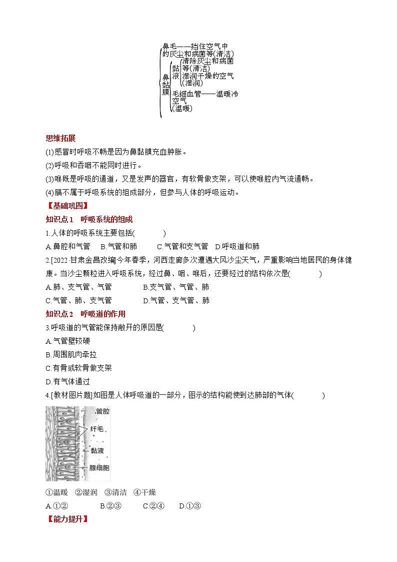 人教版生物七年级下册同步练习4.3.1　呼吸道对空气的处理第2页