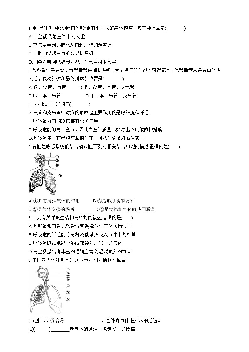 人教版生物七年级下册同步练习4.3.1　呼吸道对空气的处理第3页