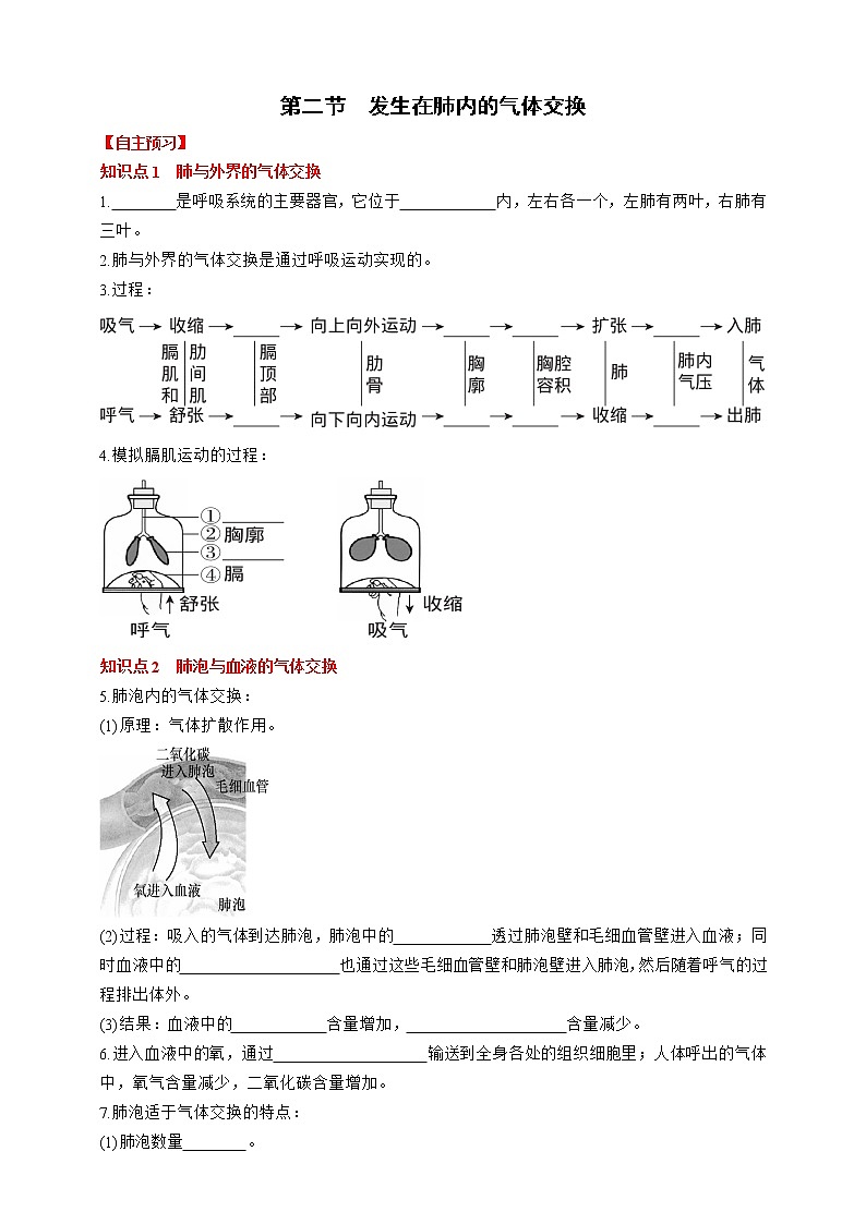 人教版生物七年级下册同步练习4.3.2　发生在肺内的气体交换第1页