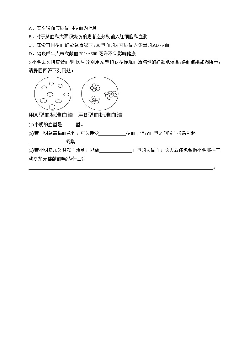 人教版生物七年级下册同步练习4.4.4　输血与血型03