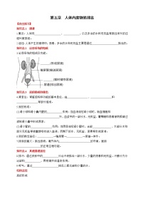 初中生物人教版 (新课标)七年级下册第四单元 生物圈中的人第五章 人体内废物的排出课后练习题