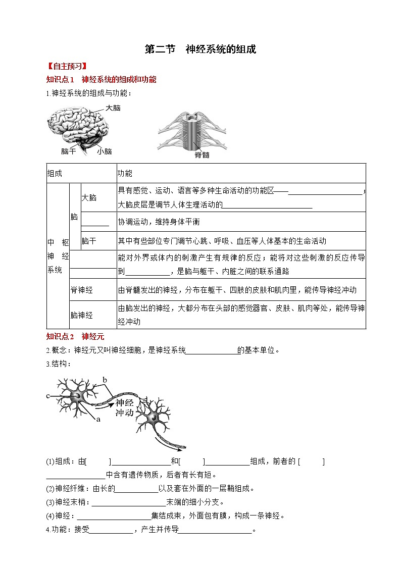 人教版生物七年级下册同步练习4.6.2　神经系统的组成01