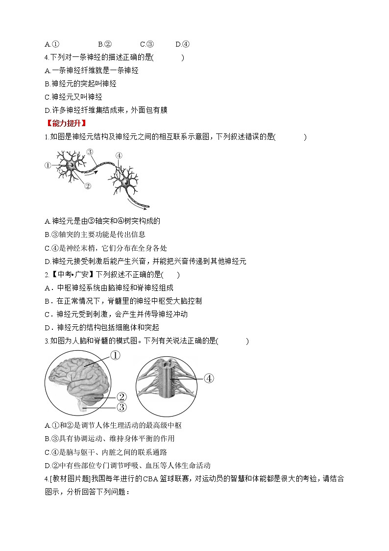人教版生物七年级下册同步练习4.6.2　神经系统的组成03