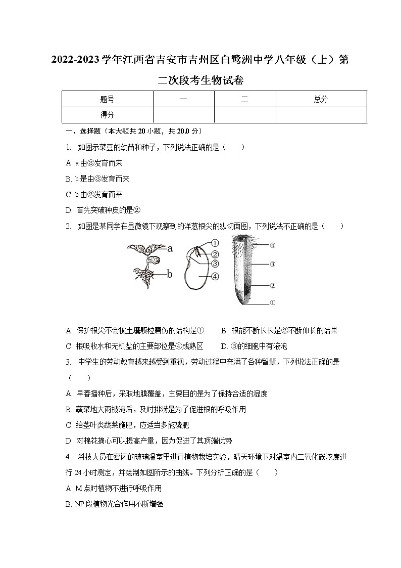 江西省吉安市吉州区白鹭洲中学2022-2023学年八年级上学期第二次段考生物试卷(含答案)第1页