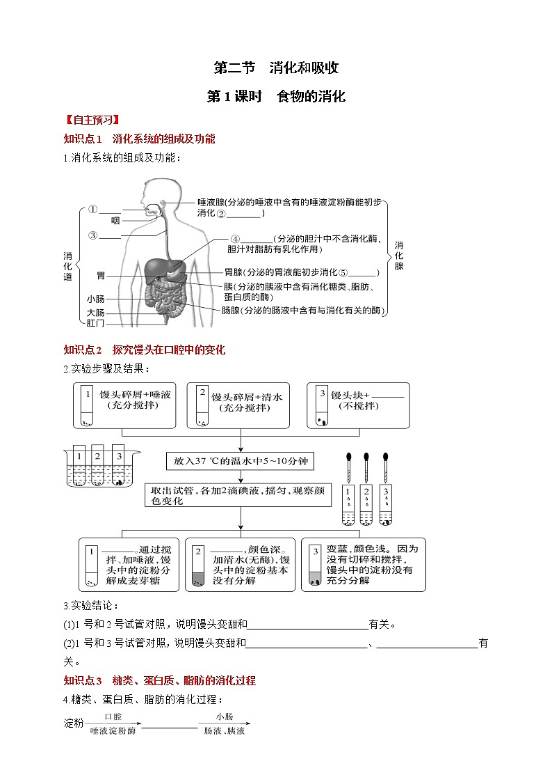 人教版生物七年级下册同步练习4.2.2.1  第1课时 食物的消化第1页