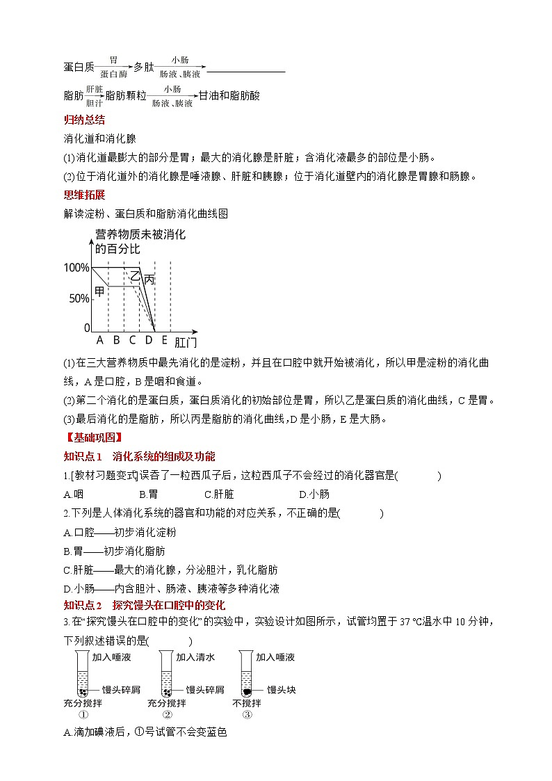 人教版生物七年级下册同步练习4.2.2.1  第1课时 食物的消化第2页