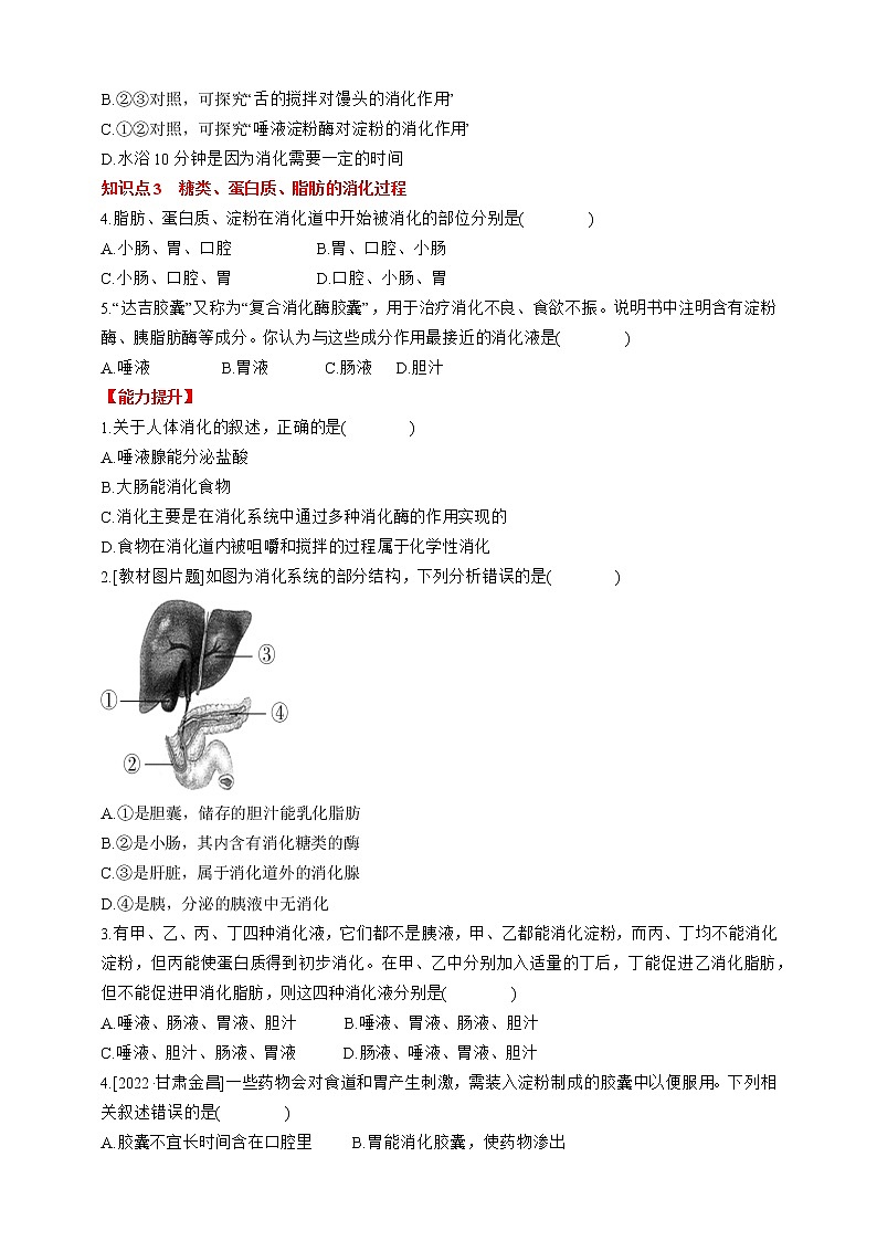 人教版生物七年级下册同步练习4.2.2.1  第1课时 食物的消化第3页