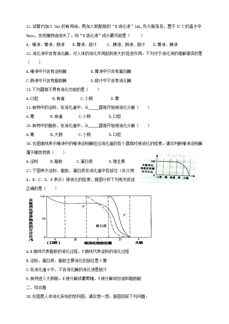 冀教版生物七下2.1.2食物的消化（2）练习第2页