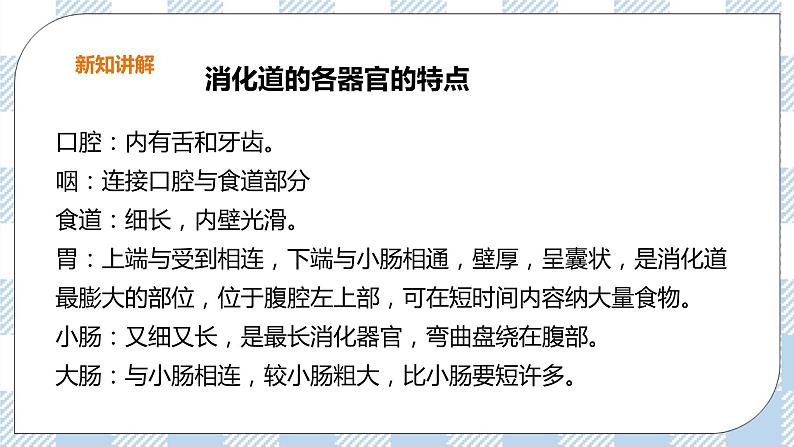 冀教版生物七下2.1.2食物的消化（2）课件第5页