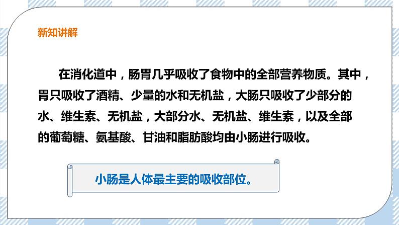 2.1.3 营养物质的吸收和利用 课件+教案+练习05