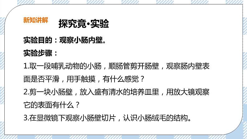 2.1.3 营养物质的吸收和利用 课件+教案+练习06