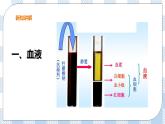 2.2.1 物质运输的载体1 课件+教案+练习+视频