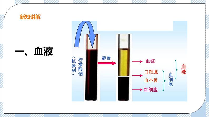 2.2.1 物质运输的载体1 课件+教案+练习+视频04