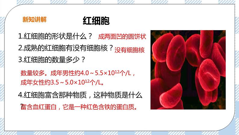 2.2.1 物质运输的载体1 课件+教案+练习+视频07