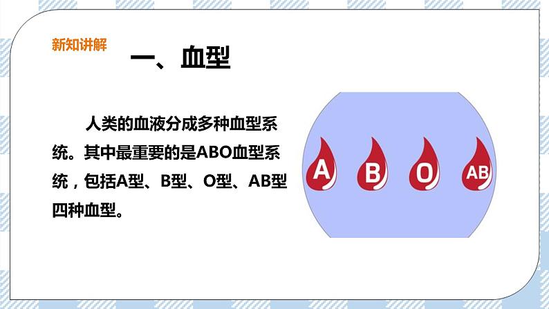 冀教版生物七下2.2.1物质运输的载体（2）课件第3页