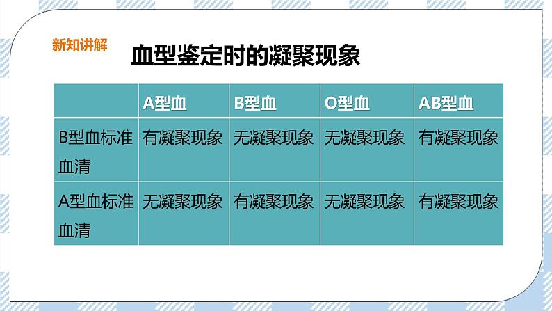 冀教版生物七下2.2.1物质运输的载体（2）课件第5页