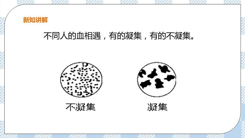 冀教版生物七下2.2.1物质运输的载体（2）课件第6页