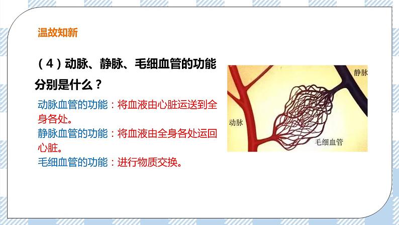 2.2.3 物质运输的路线 课件+教案+练习+视频04