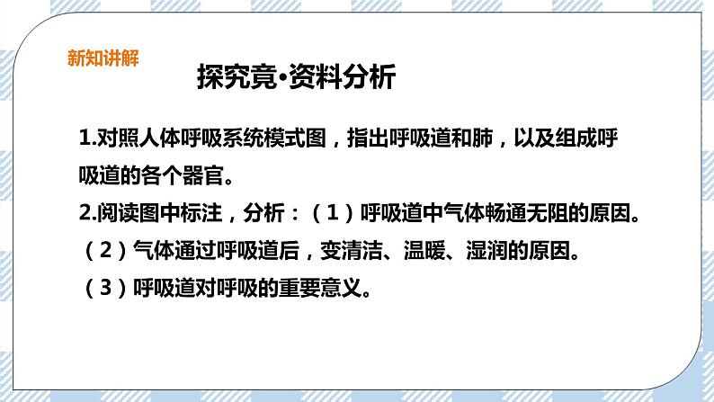 2.3.1呼吸（1）课件+教案+练习+视频05