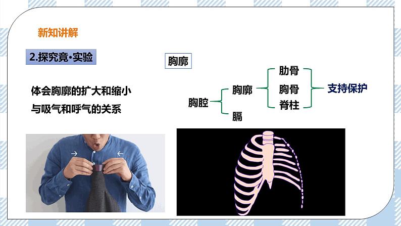 3.1 呼吸第2课时 课件+教案+练习+视频04