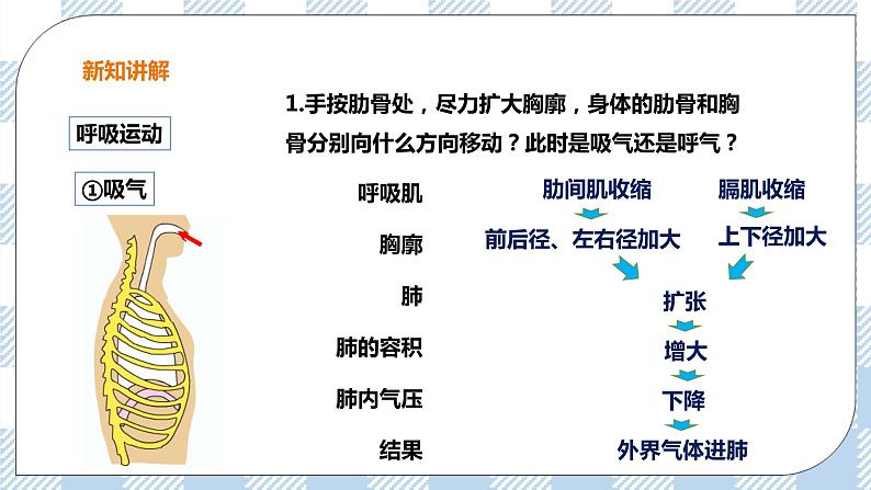 3.1 呼吸第2课时 课件+教案+练习+视频06