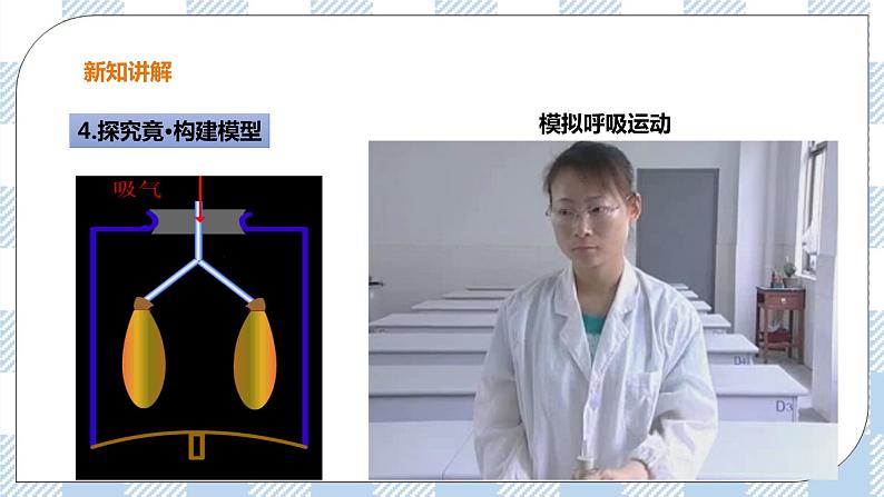 3.1 呼吸第2课时 课件+教案+练习+视频08