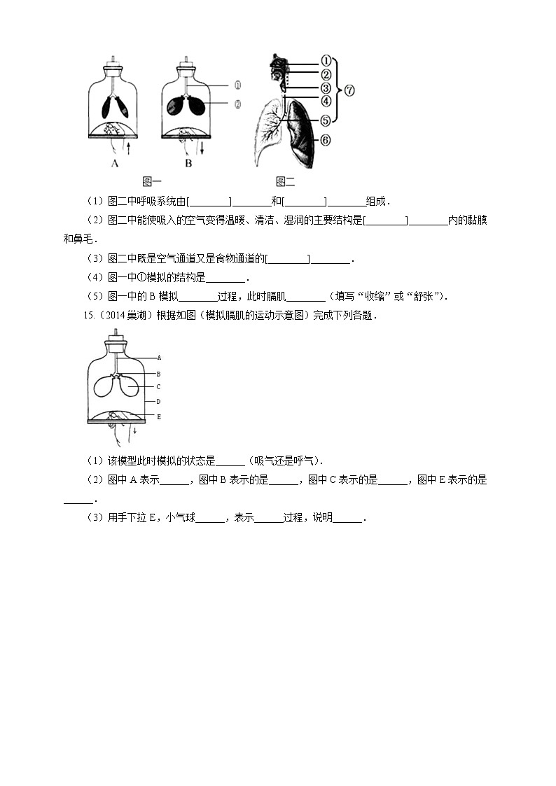 3.1 呼吸第2课时 课件+教案+练习+视频03