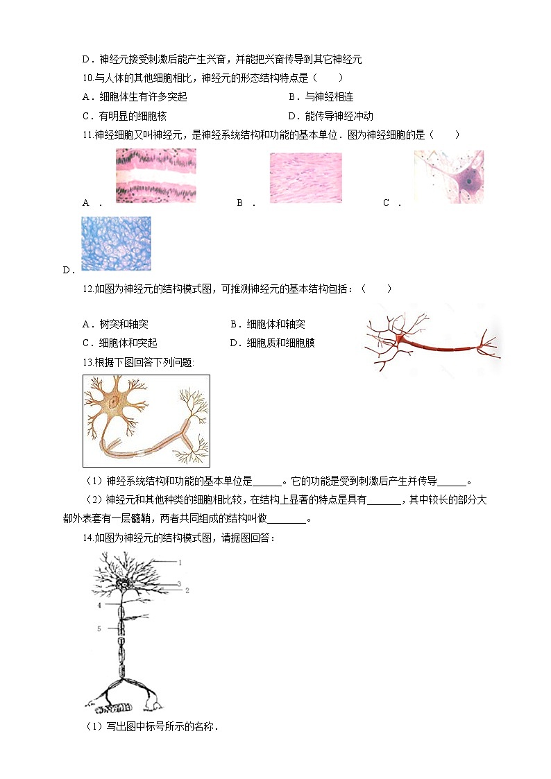 4.2 信息的传递 课件+教案+练习+视频02