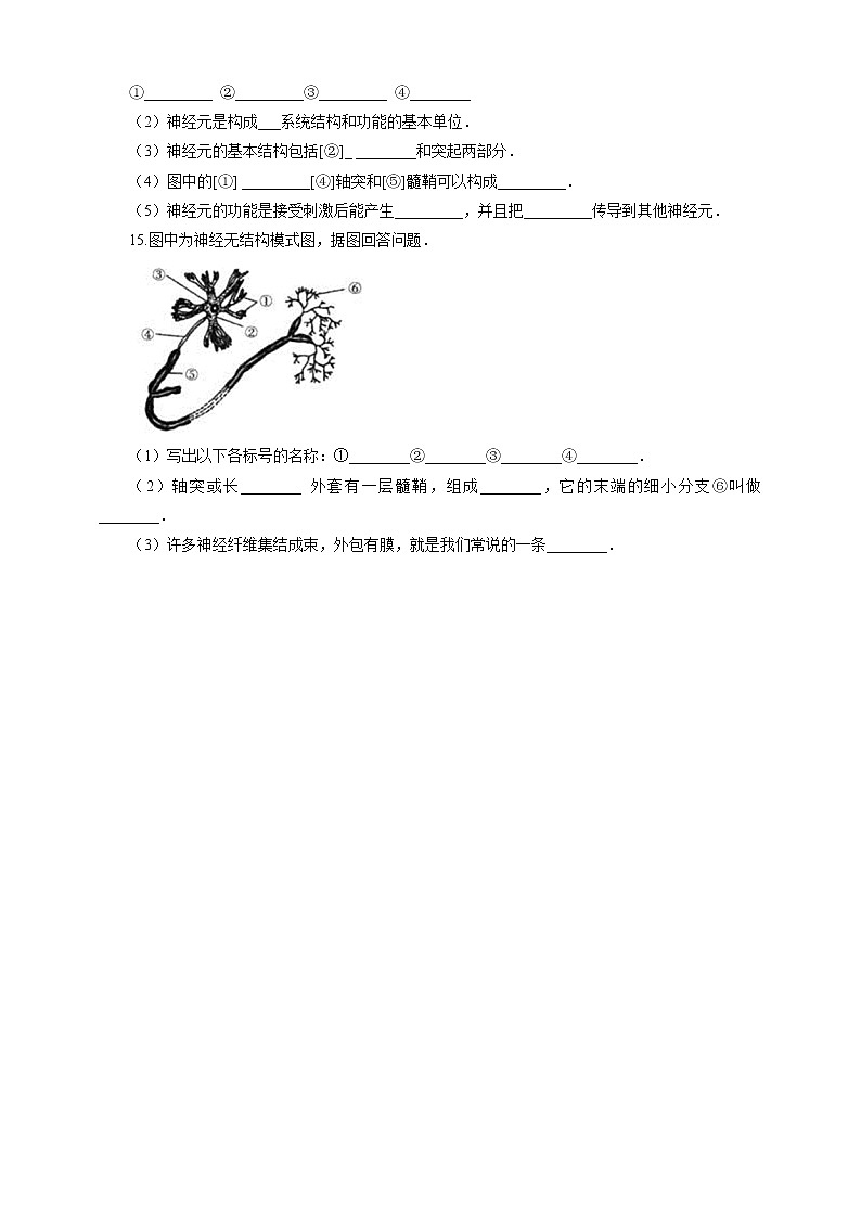 4.2 信息的传递 课件+教案+练习+视频03