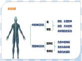 4.2 信息的传递 课件+教案+练习+视频