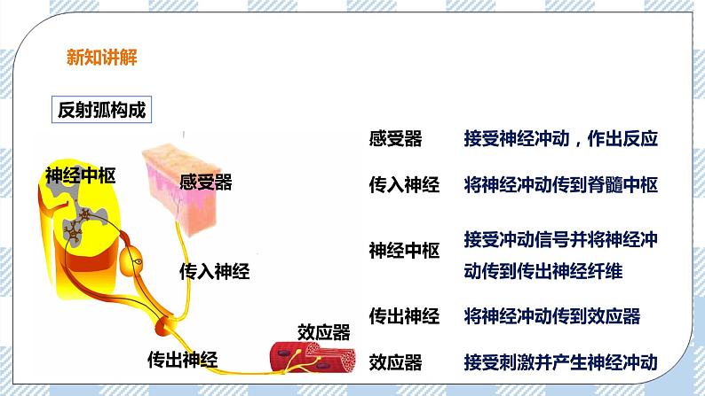 4.3 信息的处理 第1课时 课件+教案+练习+视频08