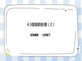 4.3 信息的处理 第2课时 课件+教案+练习+视频