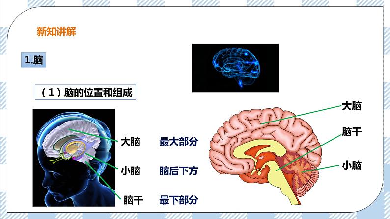 4.3 信息的处理 第2课时 课件+教案+练习+视频04