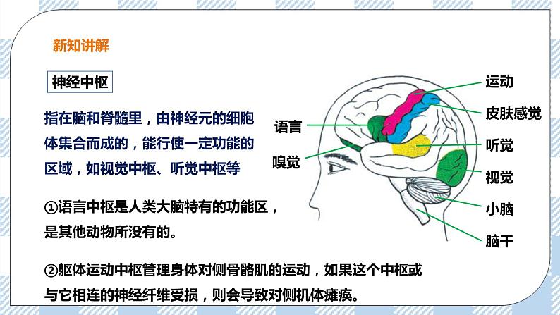 4.3 信息的处理 第2课时 课件+教案+练习+视频08