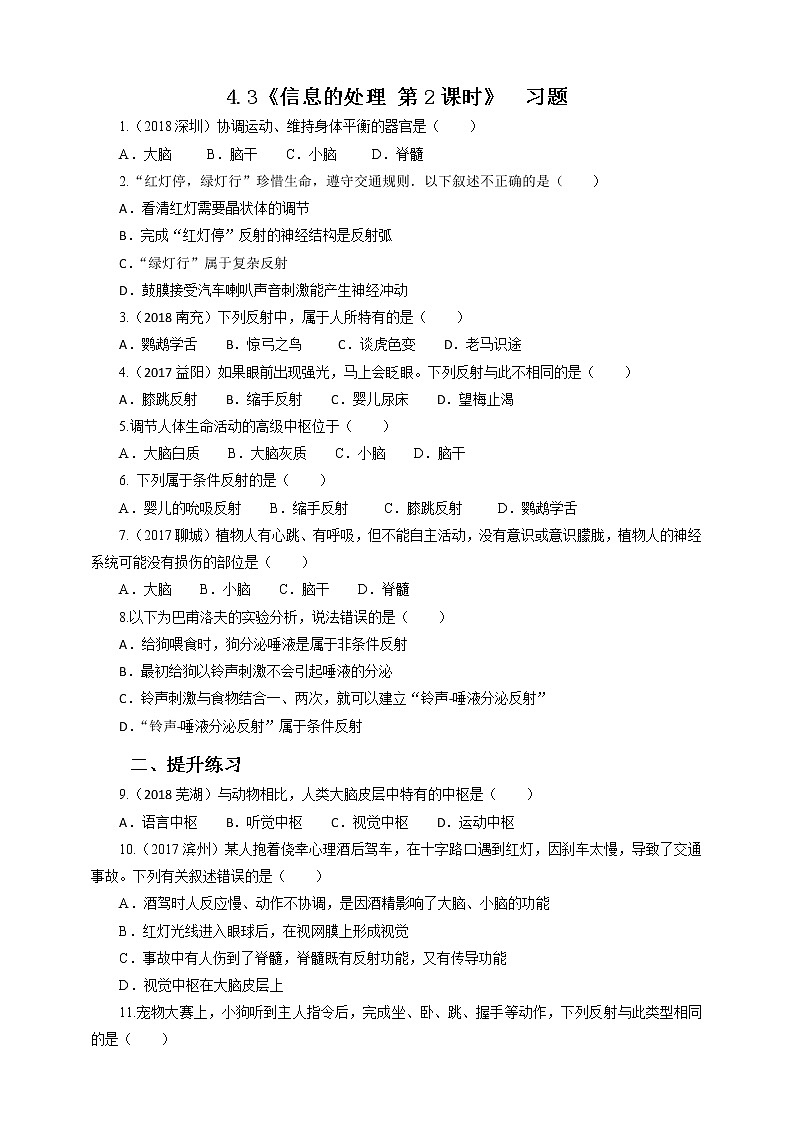 4.3 信息的处理 第2课时 课件+教案+练习+视频01