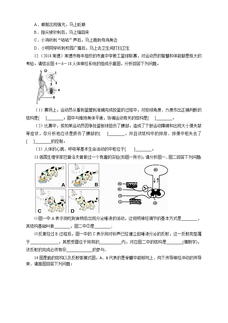 4.3 信息的处理 第2课时 课件+教案+练习+视频02