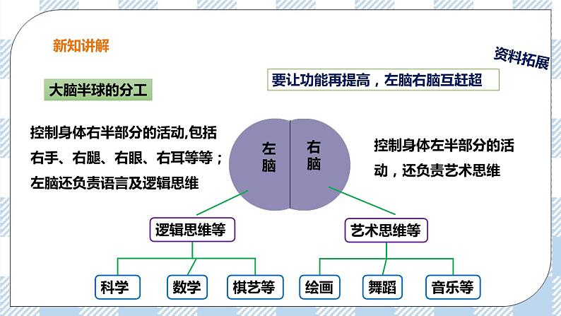 4.4 合理用脑 课件+教案+练习+视频07