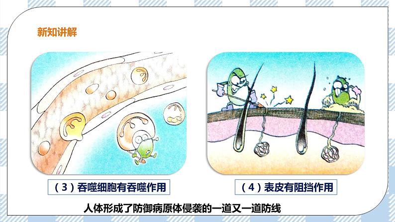 6.1.1 免疫 第1课时 课件+教案+练习+视频05