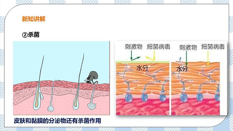 6.1.1 免疫 第1课时 课件+教案+练习+视频08
