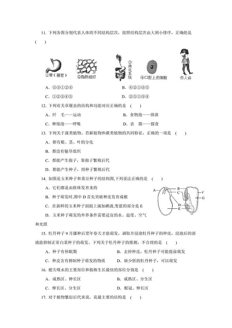 山东省临沂市郯城县实验中学2022-2023学年七年级上学期线上期末测试生物试题03