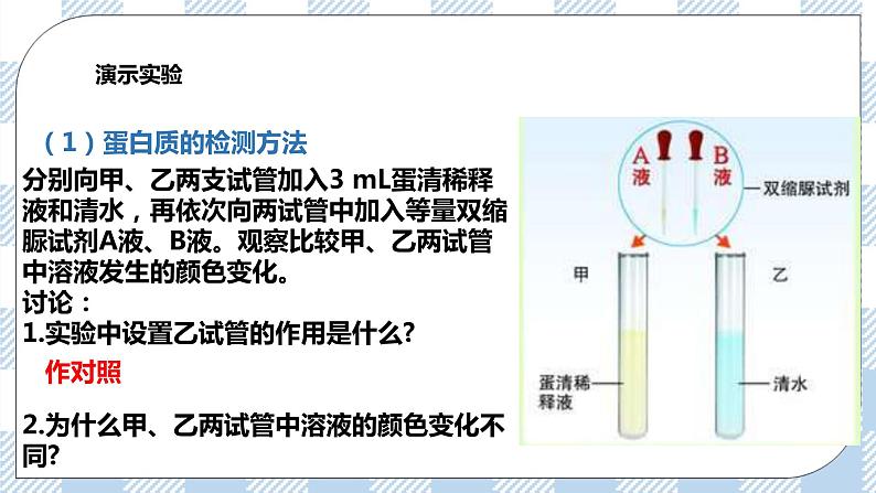 4.8.1人类的食物 课件第5页