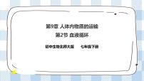 初中生物北师大版七年级下册第四单元  生物圈中的人第9章  人体内的物质运输第2节 血液循环优质ppt课件