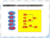 4.10.1食物中能量的释放 课件+同步练习+视频